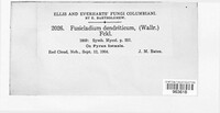 Image Associated With the Occurence